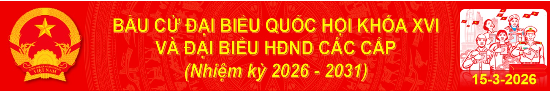 BÀU CỬ ĐẠI BIỂU QUỐC HỘI KHÓA XVI VÀ ĐẠI BIỂU HĐND CÁC CẤP